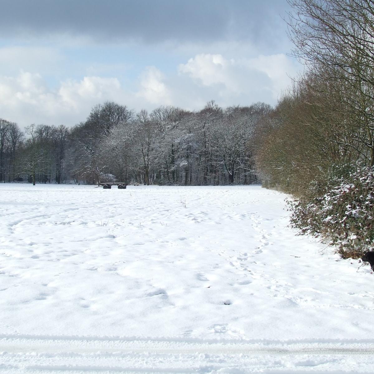 Wintermotiv-1