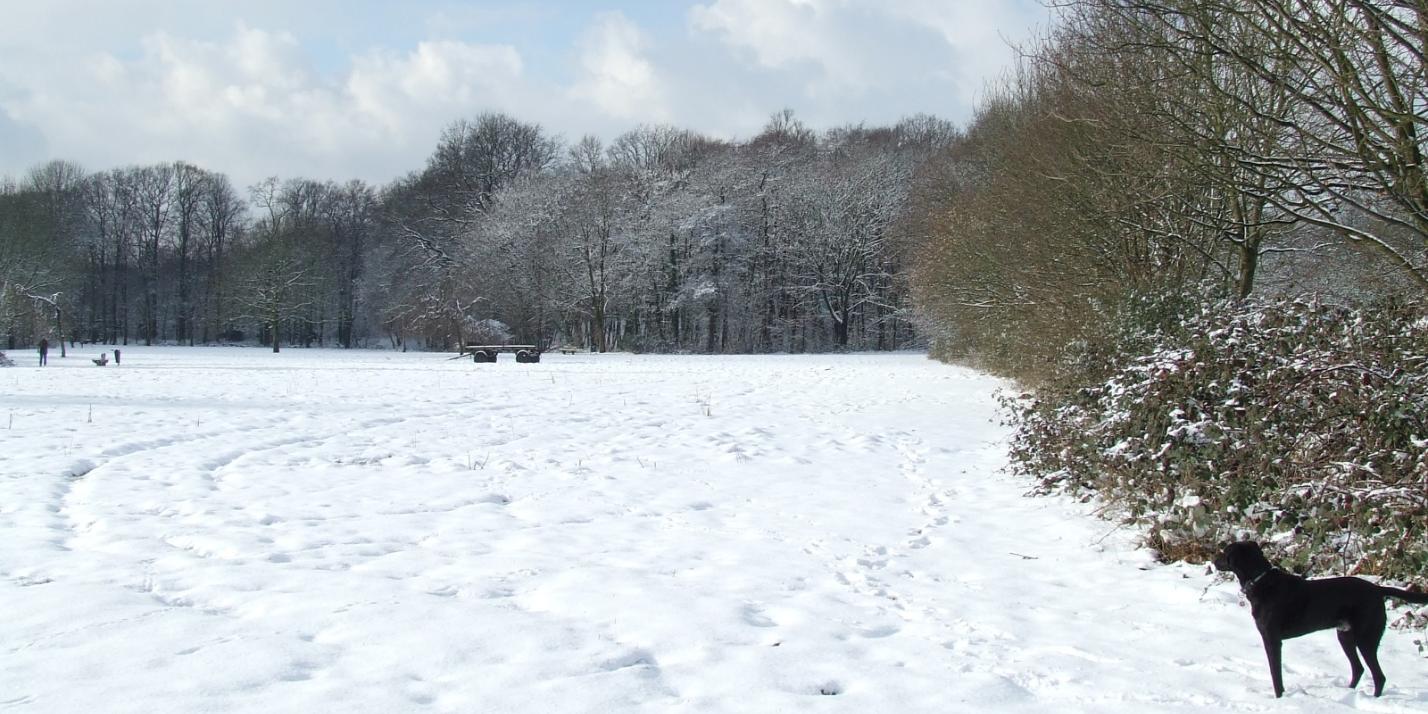 Wintermotiv-1