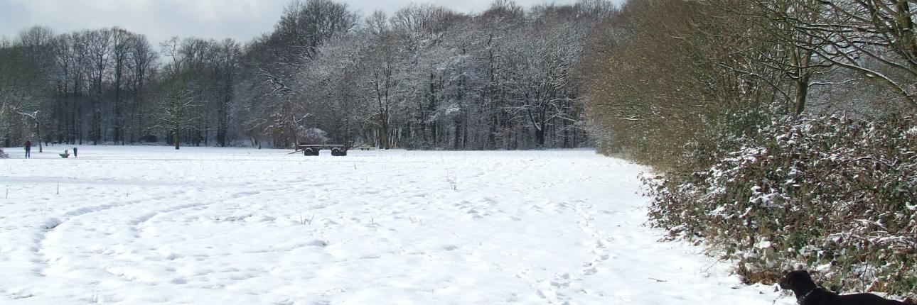 Wintermotiv-1