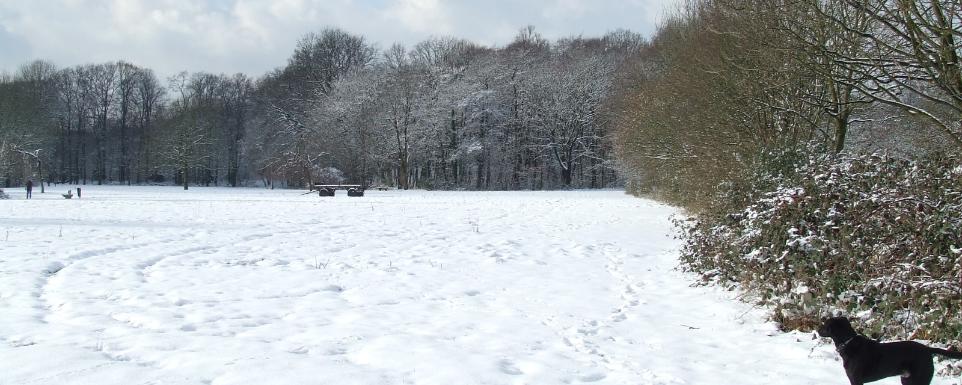 Wintermotiv-1