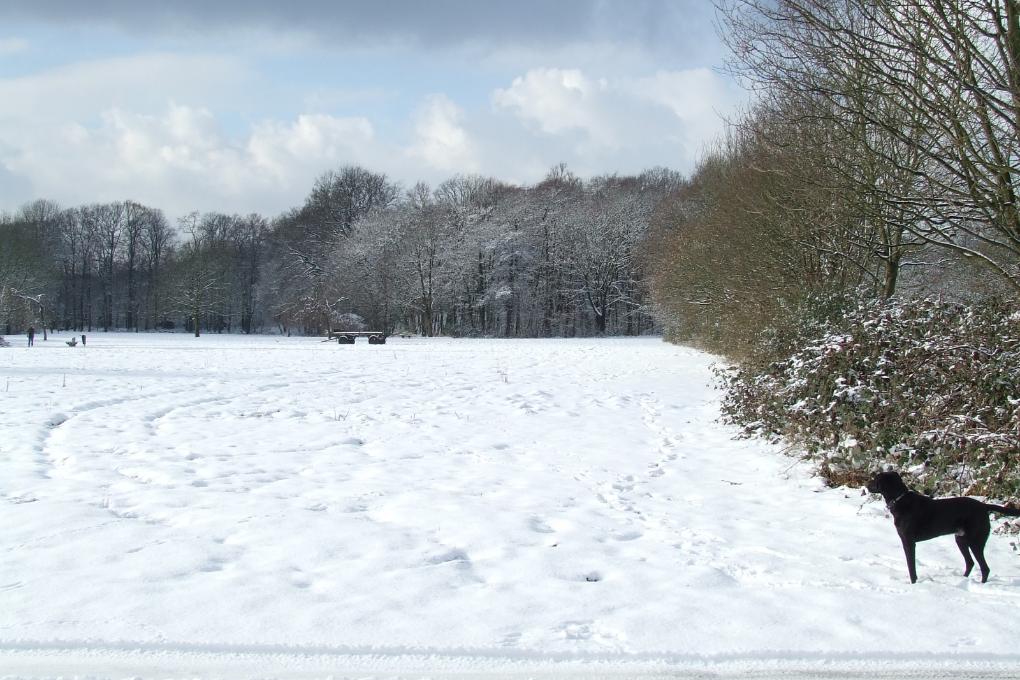 Wintermotiv-1